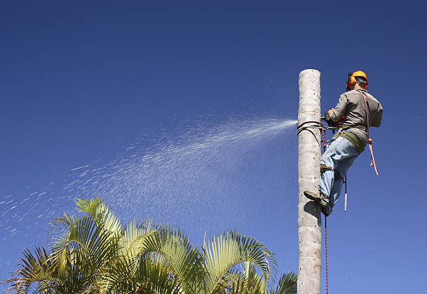 Lawn Watering Services in Carbondale, KS